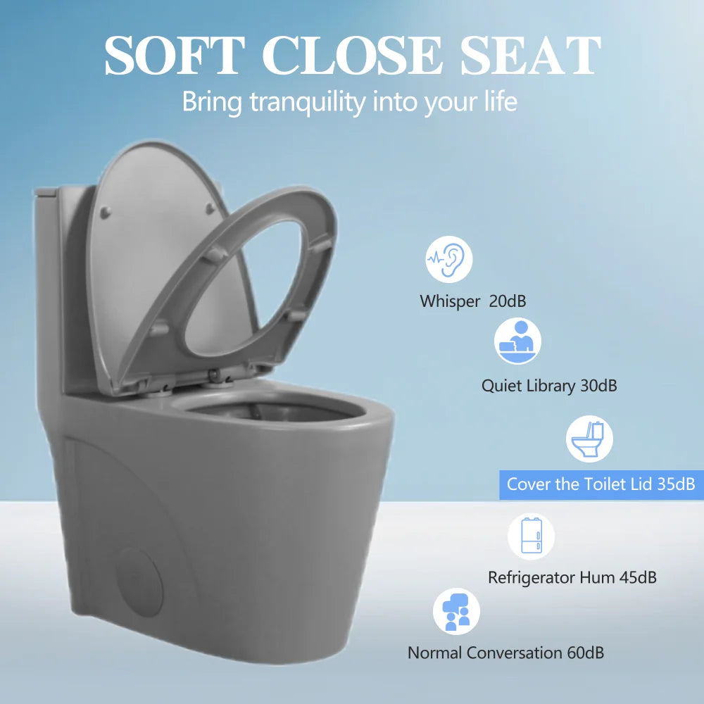 1.1/1.60 GPF Dual Flush One Piece Toilet Water Saving Elongated Comfort Height Floor Mounted Soft Close 1000 Gram Map