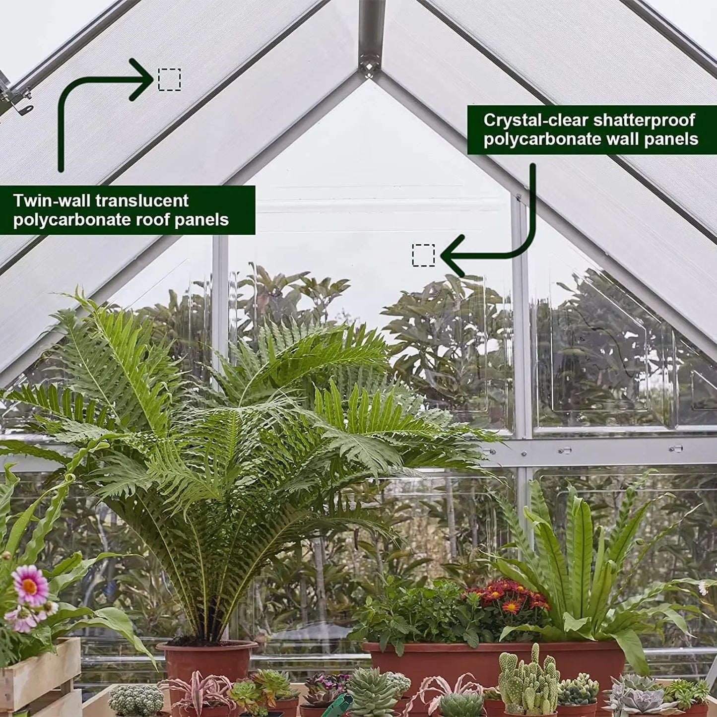 6x8 FT Hybrid Polycarbonate Greenhouse with Vent Windows and Lockable Hinged Door Walk-In Hobby Greenhouse