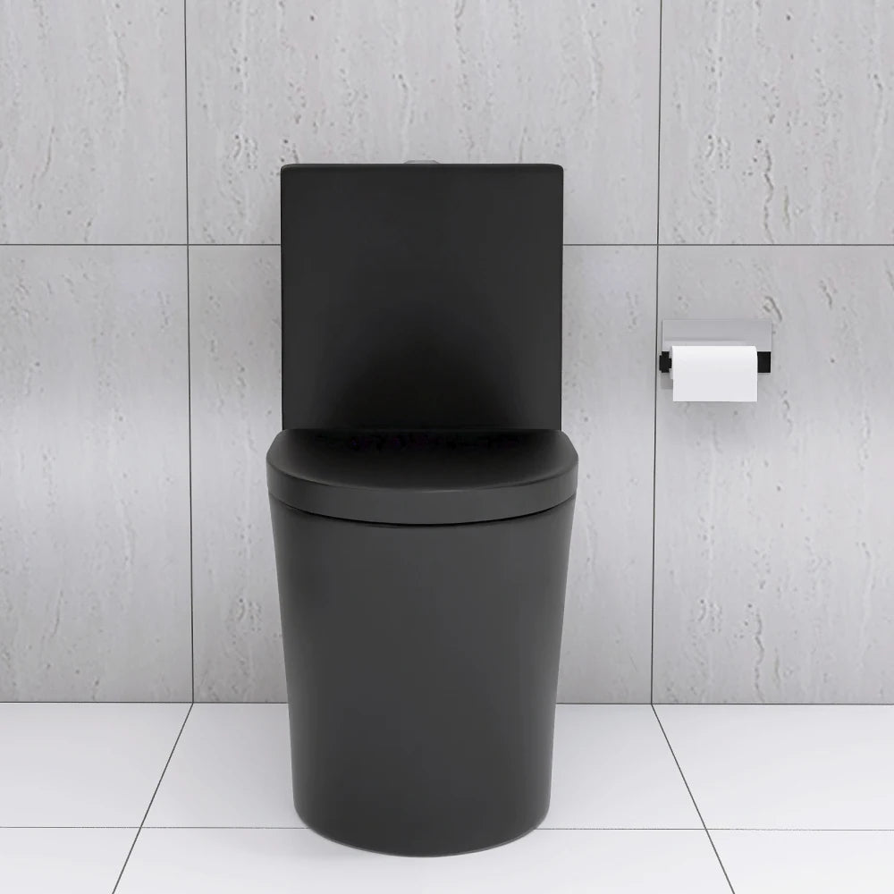 Matte Black Elongated One Piece Toilet Dual Flush 1.1/1.6 GPF Water Saving 1000g