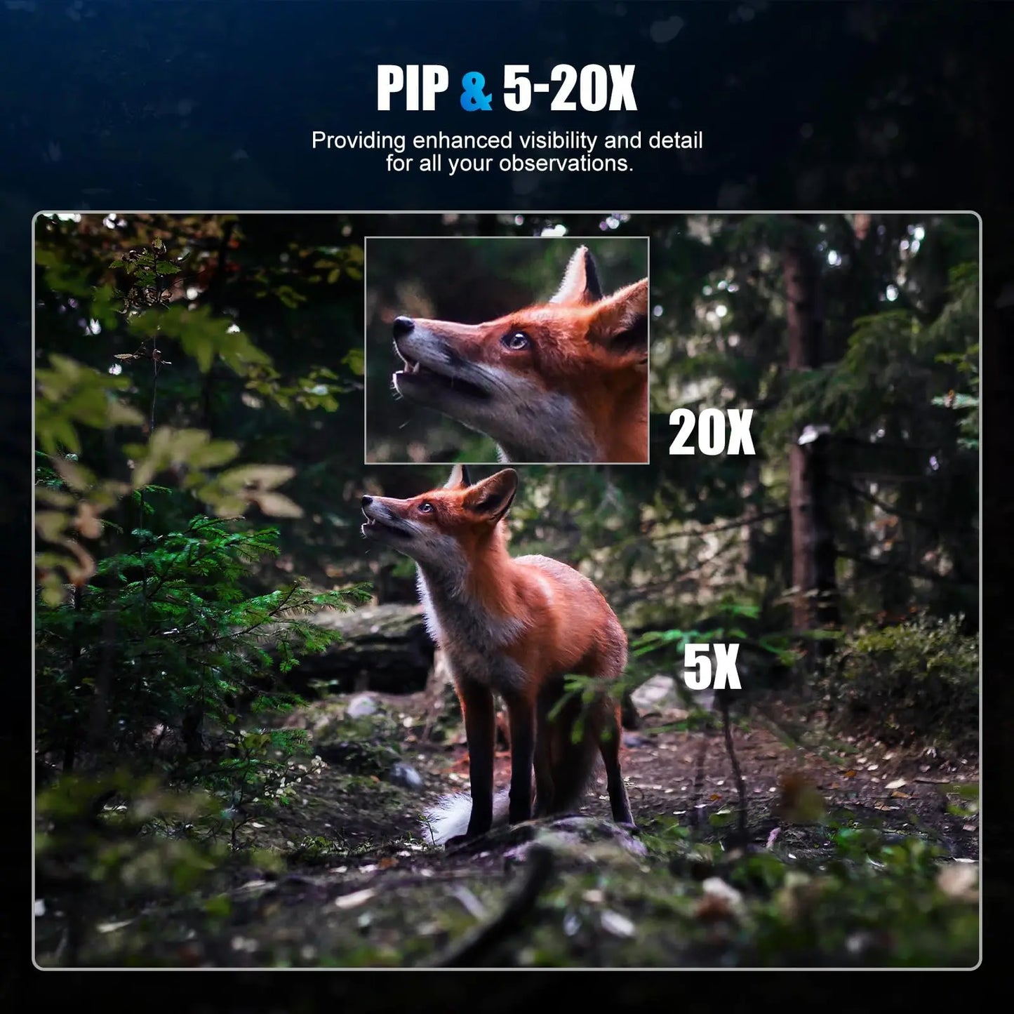 Digital Night Vision Scope, HD Day & Night 5-20X Hunting Night Vision Scope 2560x1920 Resolution Night Vision Scopes for Hunting
