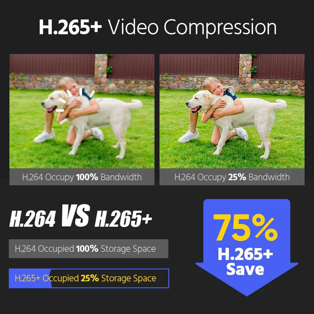 Annke 4 Pack 12MP Outdoor Smart Dual Light PoE Security Camera Color IR Night Vision Built-in Microphone IP67 Smart Home H.265+